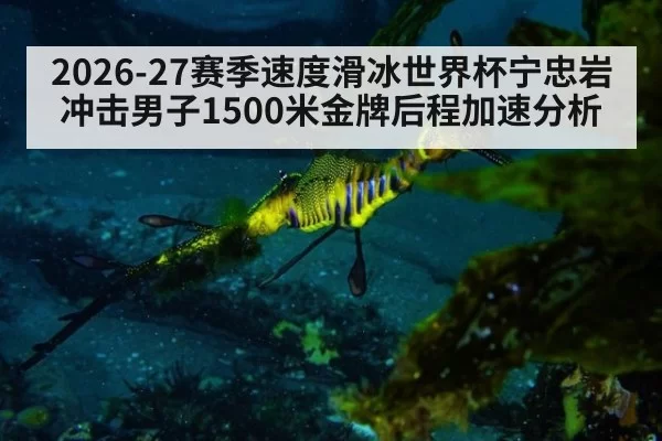 2026-27赛季速度滑冰世界杯宁忠岩冲击男子1500米金牌后程加速分析